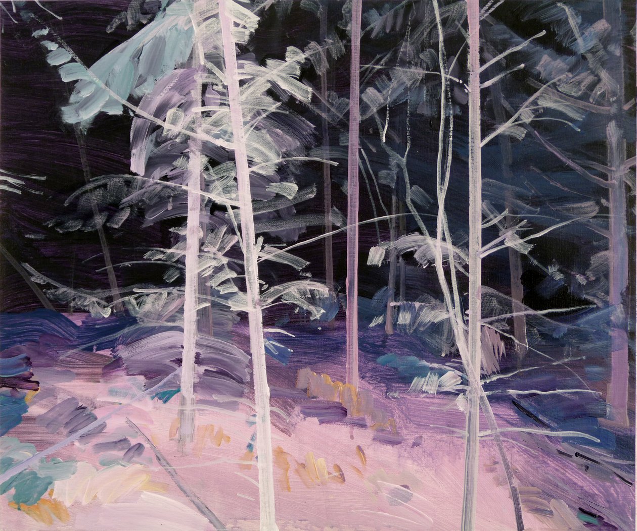 Foresta nera 1 da Olivier Morel