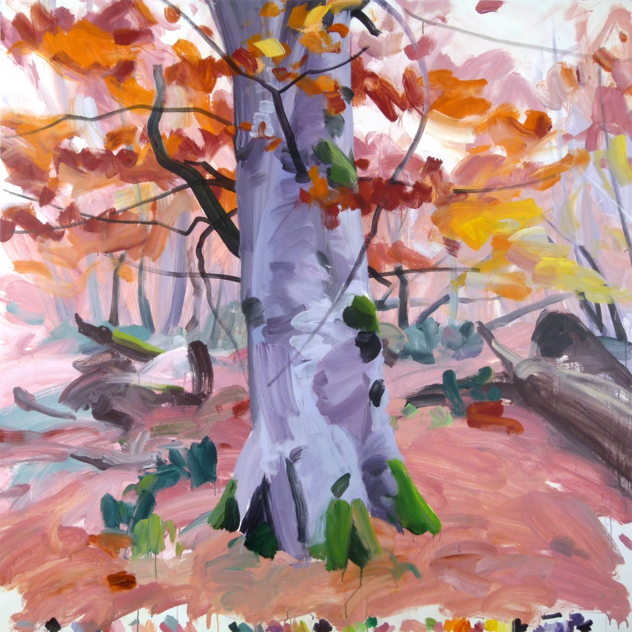 Foresta 40 da Olivier Morel