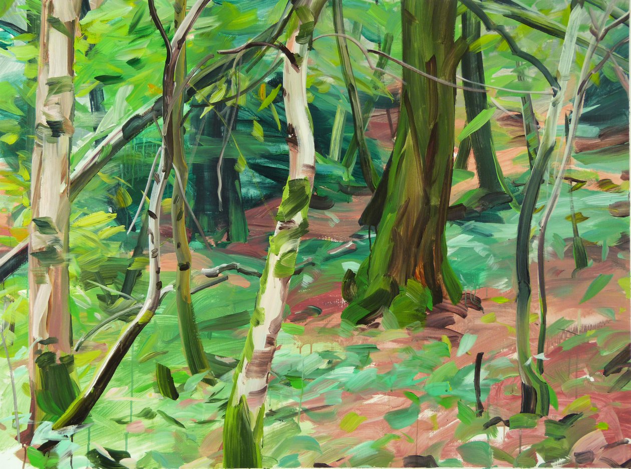 Foresta 6 da Olivier Morel