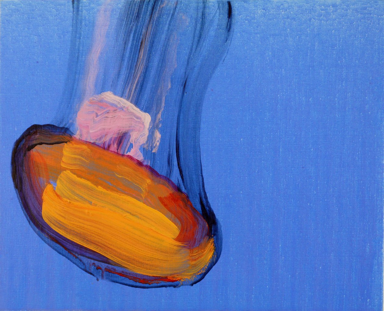 Méduses 10, 2013 (acrilico su tela) da Olivier Morel