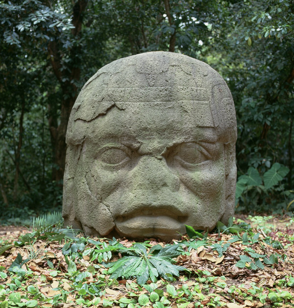 Testa colossale 4, periodo preclassico da Olmec
