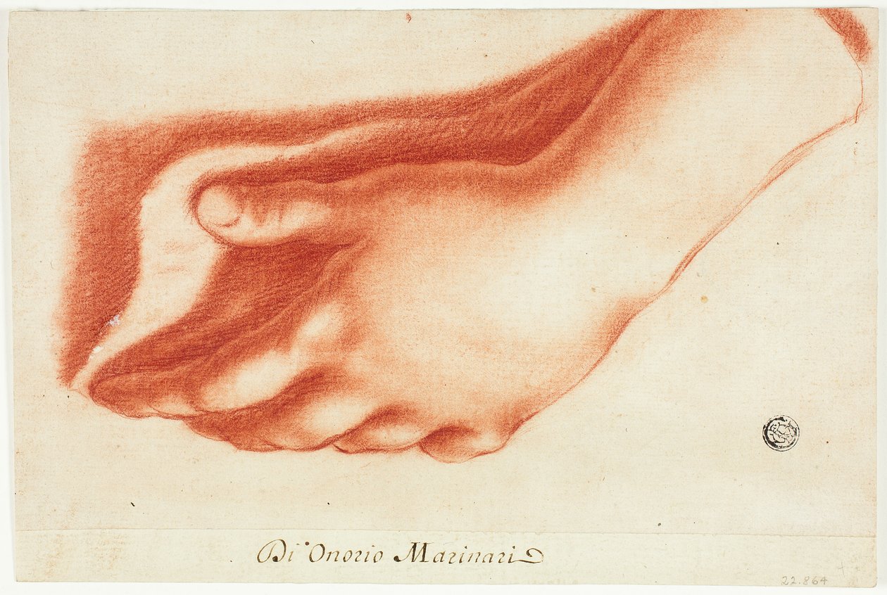 Calco in gesso della mano sinistra da Onorio Marinari