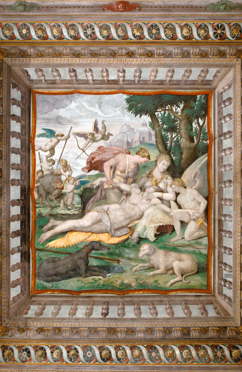 Morte di Adone dal soffitto della Sala di Adone, Rocca dei Rossi, San Secondo, Parma, Italia (dettaglio) da Orazio (attr.to) Samacchini