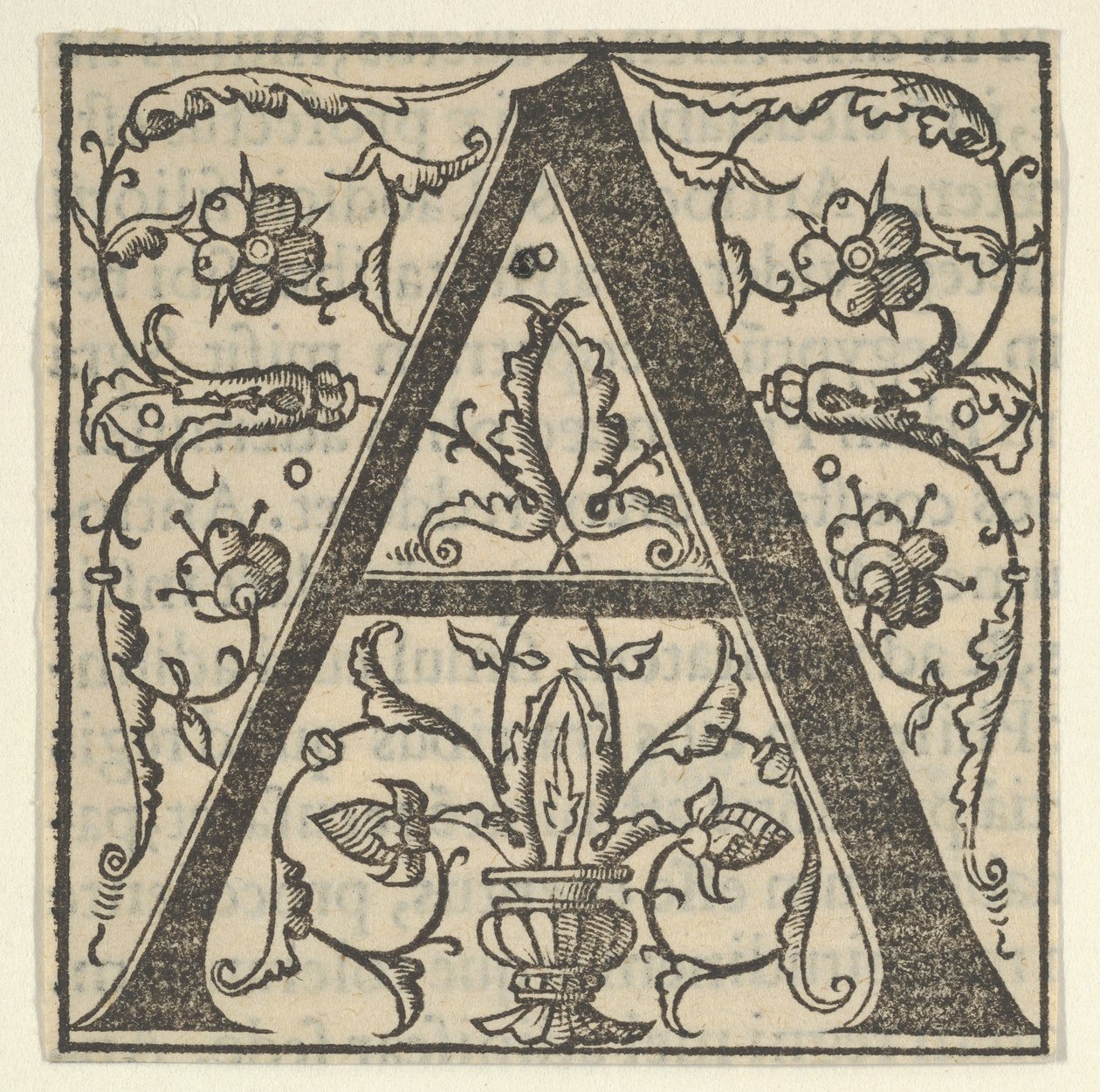 Lettera iniziale A con ghirlande da Oronce Fine