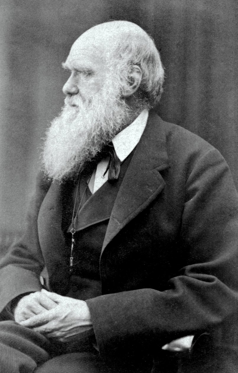 Charles Darwin, 1875 da Oscar Gustav Rejlander