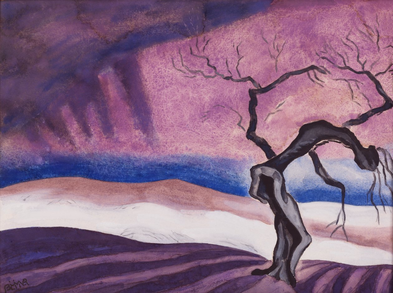 Morte da Oscar Bluemner