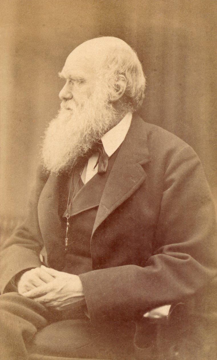 Ritratto di Charles Darwin all