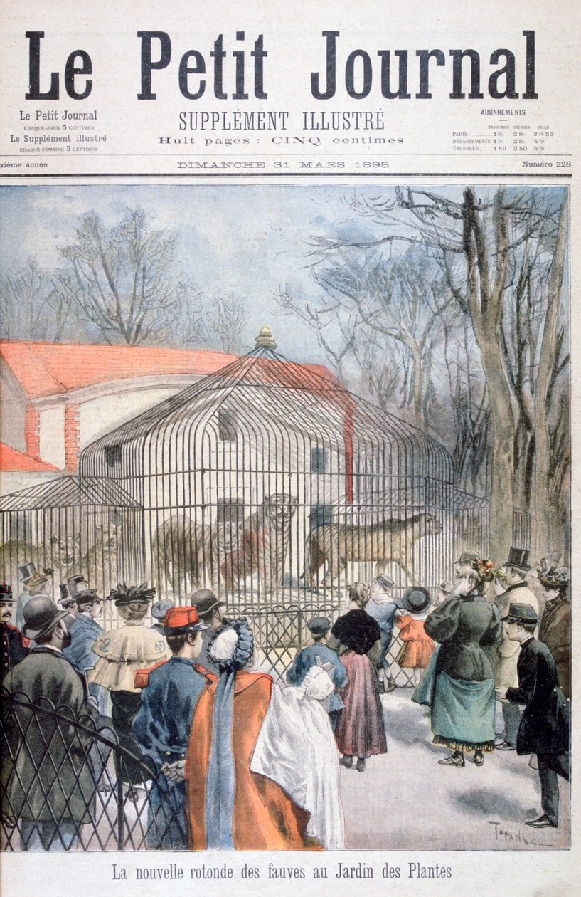 La nuova casa dei gatti selvatici al Jardin des Plantes, Parigi, 1895 da Oswaldo Tofani