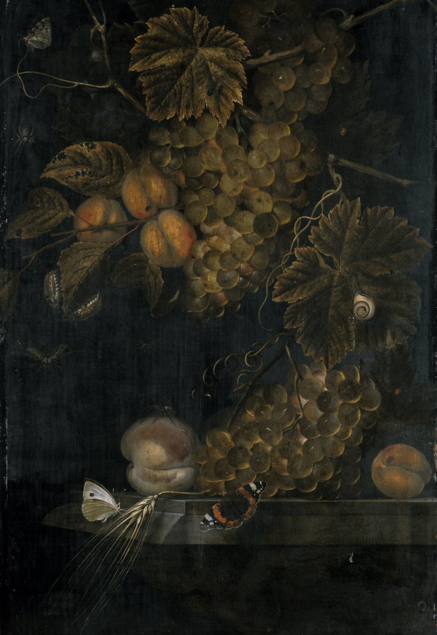 Natura morta con pesche e uva da Ottmar the Elder Elliger