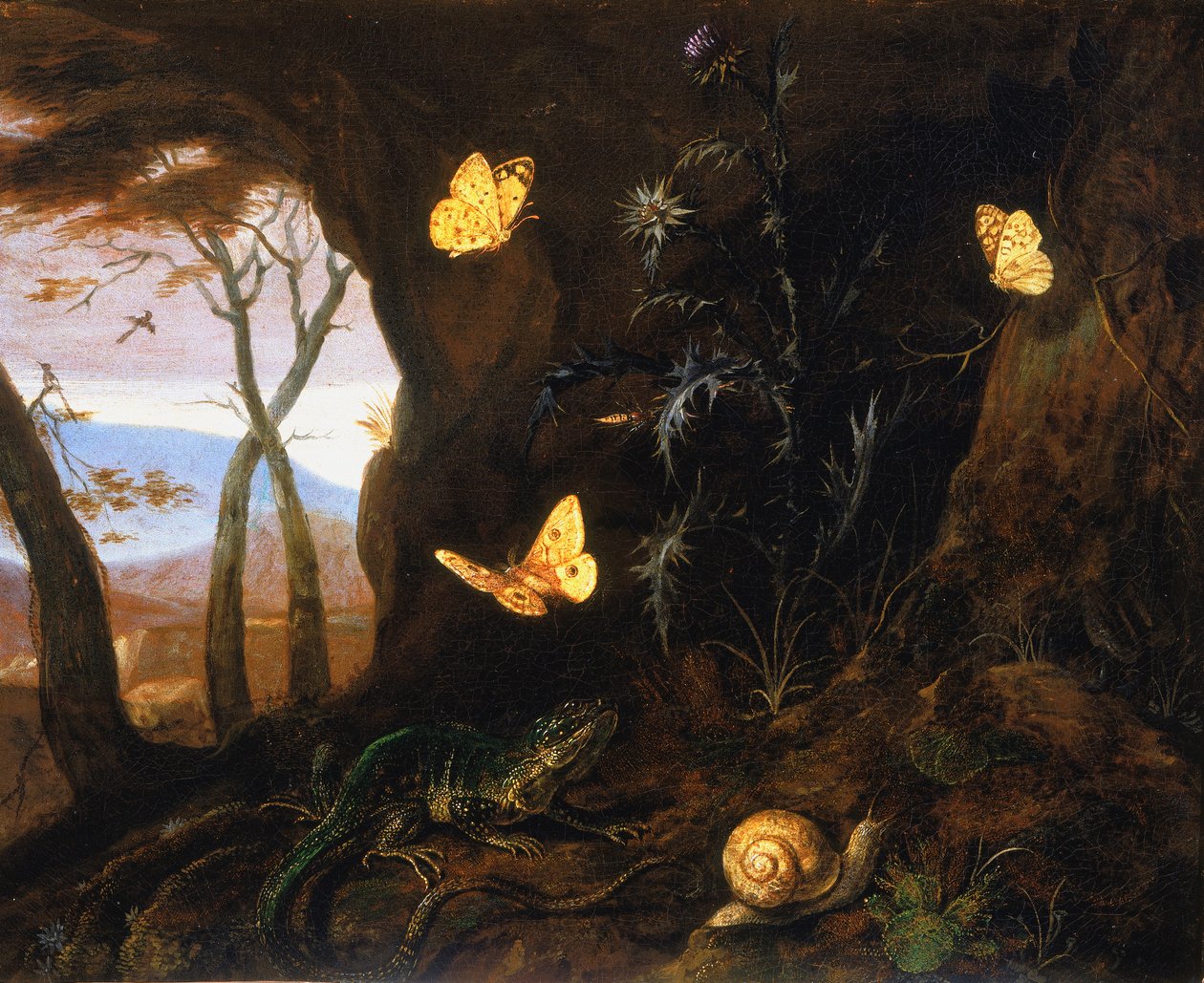 Piccoli rettili e farfalle in un angolo del bosco da Otto Marseus  van Schrieck