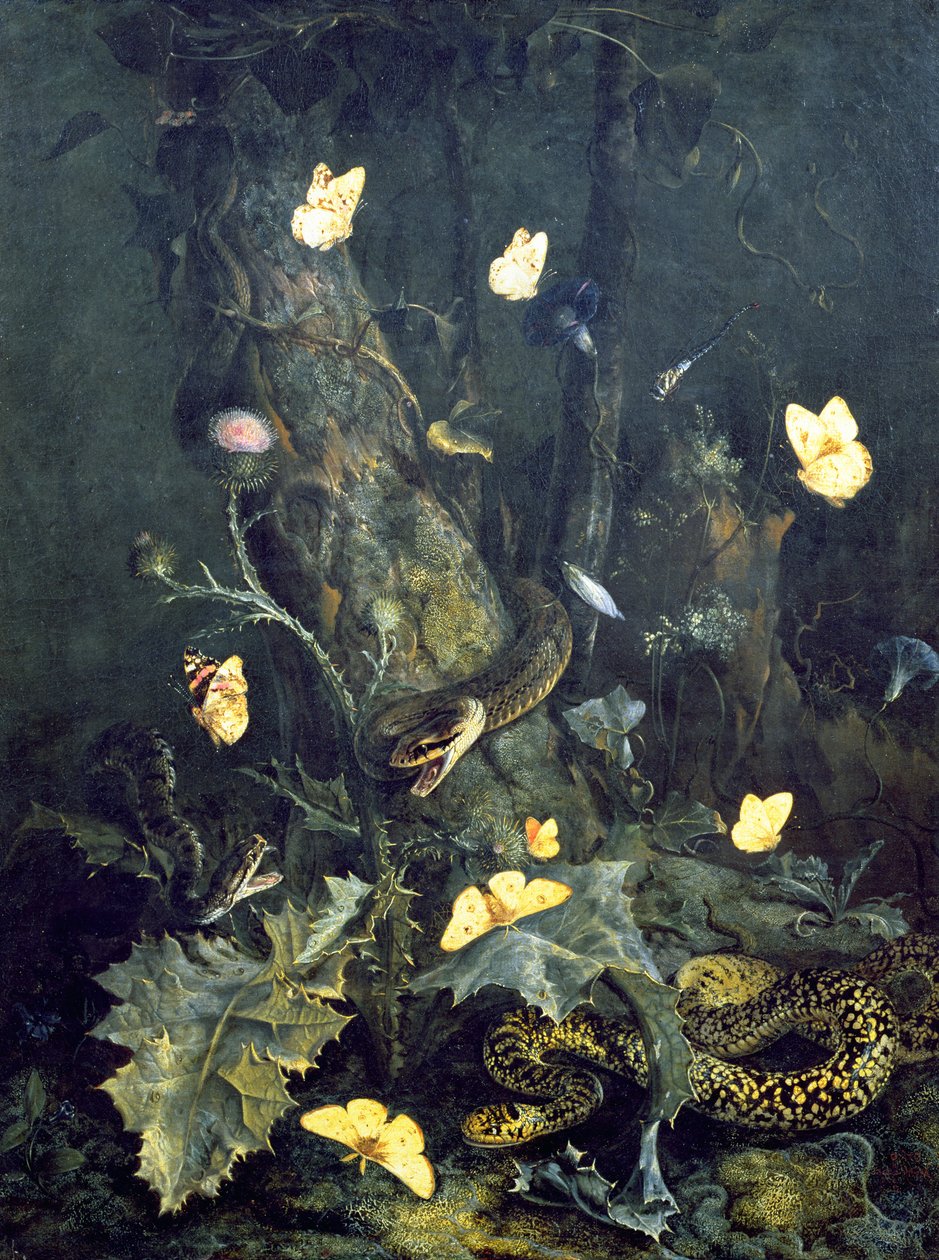 Serpenti e farfalle, 1670 da Otto Marseus  van Schrieck