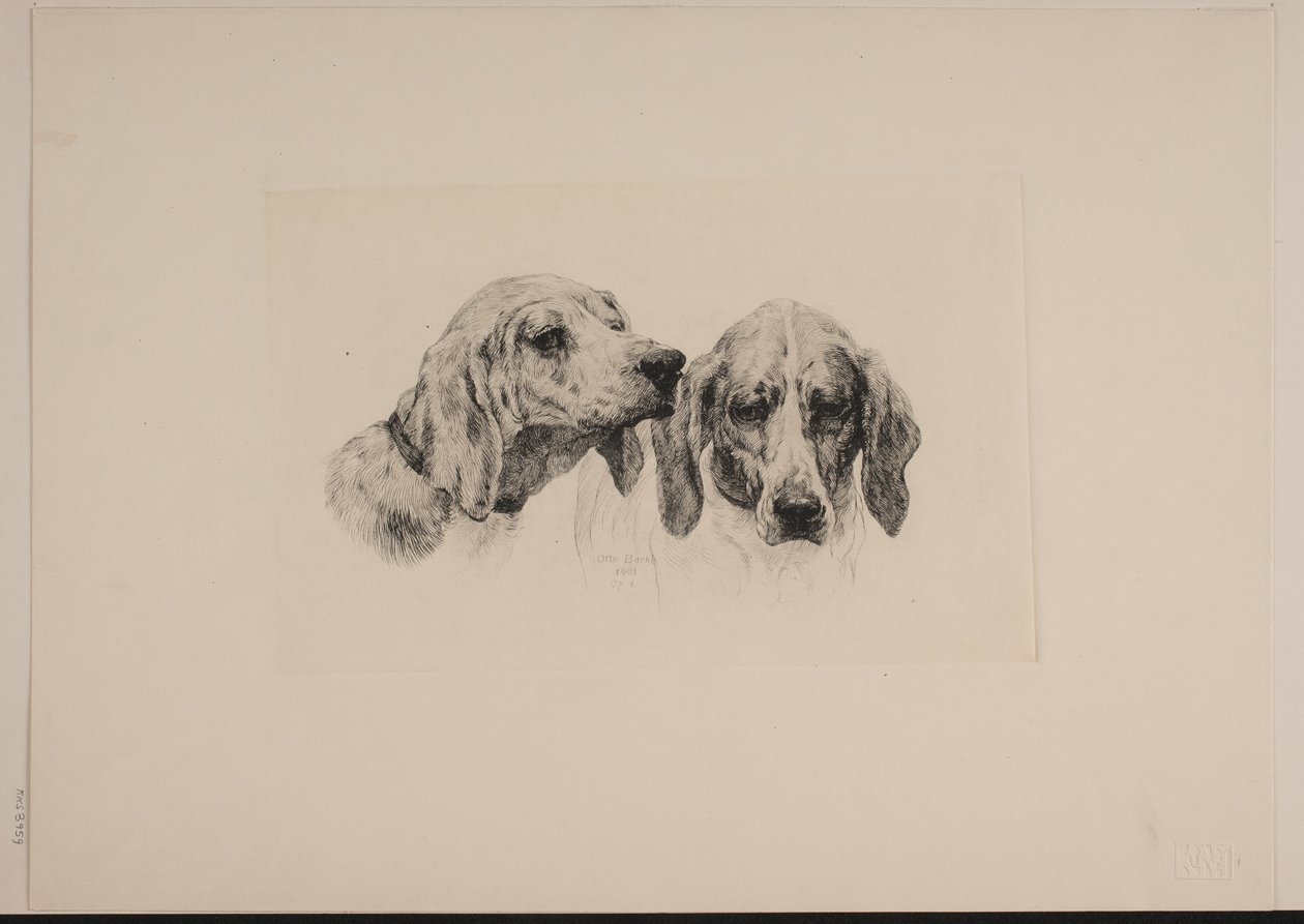 Due teste di cane da Otto Bache