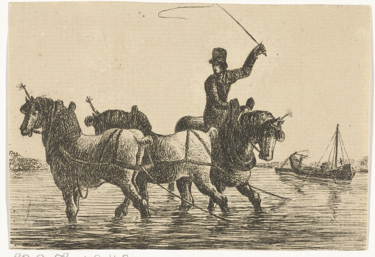 Tre cavalli da tiro nell