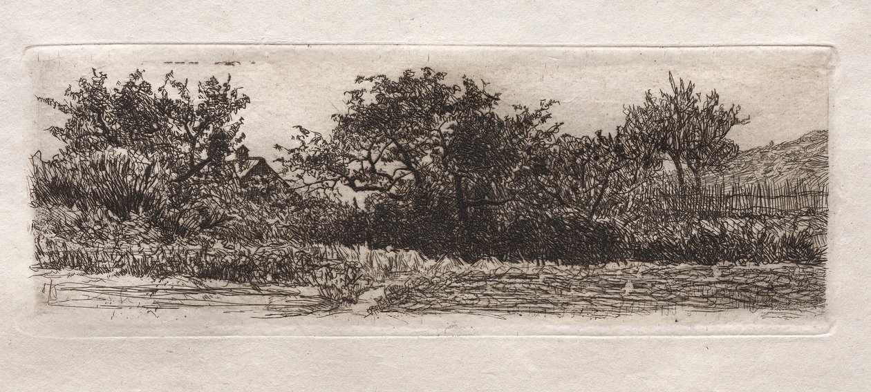 Tetti e Alberi da Otto H. Bacher
