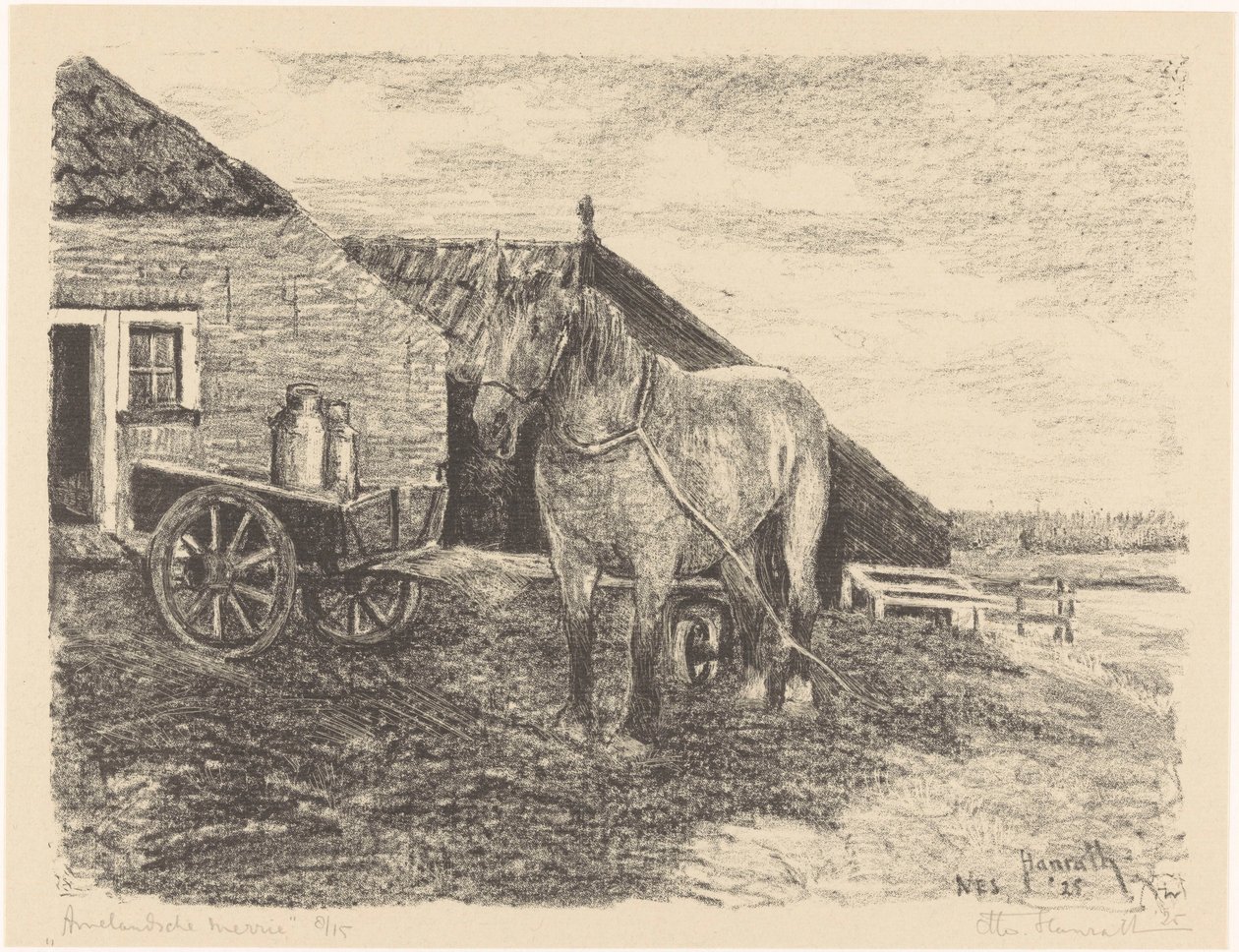 Cavalla di Ameland da Otto Hanrath (signed by artist)