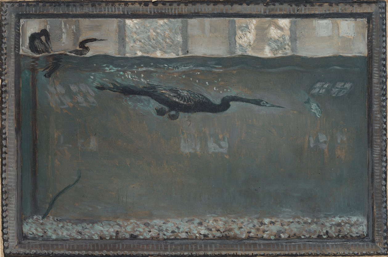 Cormorano subacqueo da Otto Henry Bacher