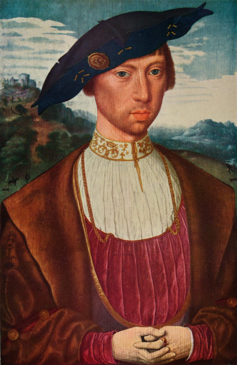 Ritratto di Joost Van Bronckhorst da Otto Limited