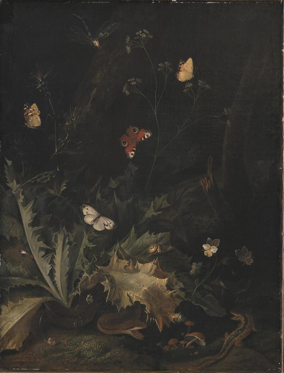 Pavimento della foresta con un cardo, un serpente, una lucertola e farfalle da Otto Marseus  van Schrieck