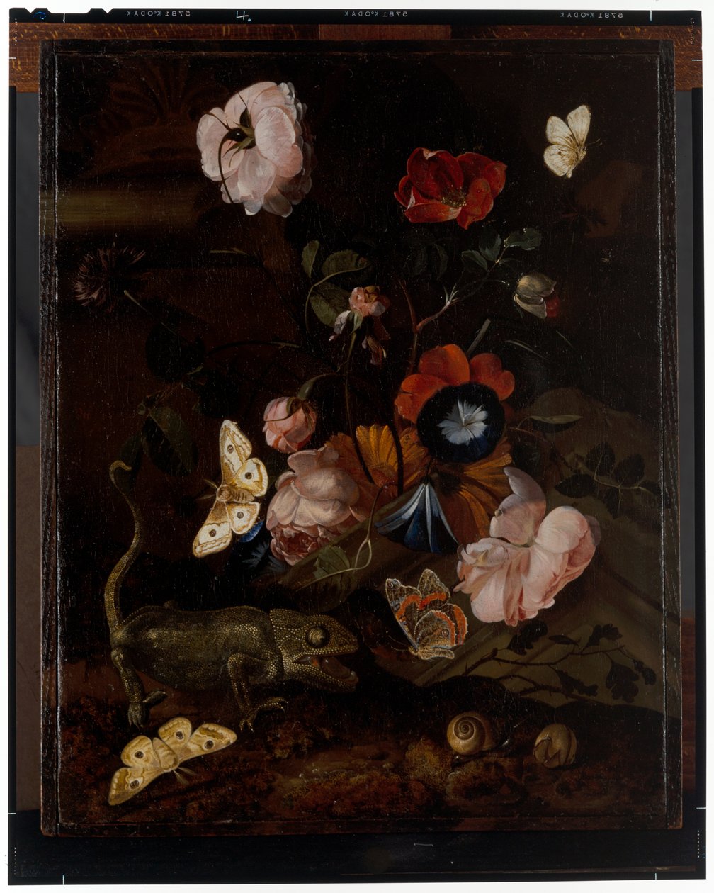 Natura morta forestale da Otto Marseus  van Schrieck