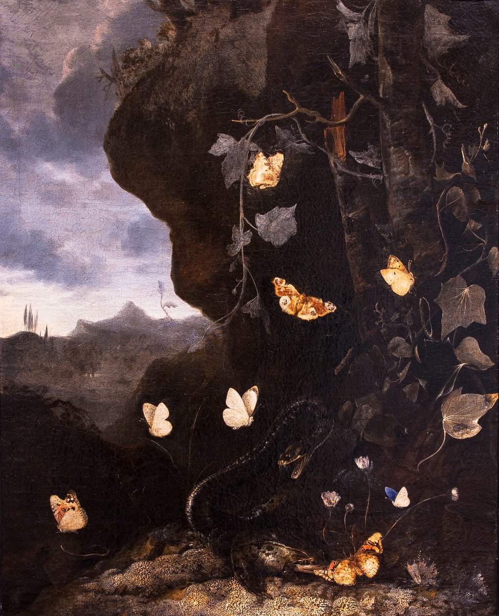  da Otto Marseus van Schrieck