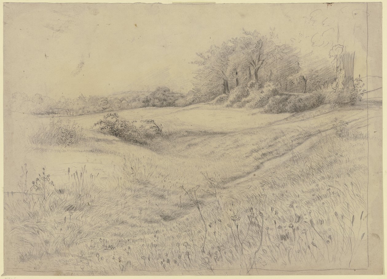 Paesaggio boschivo nei pressi di Kronberg da Otto Scholderer