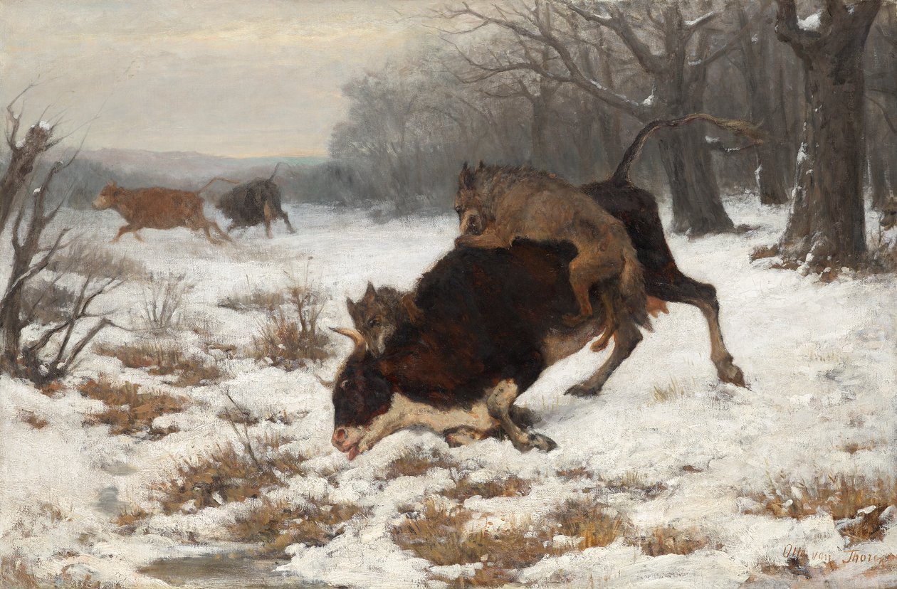 Una mucca attaccata dai lupi da Otto von Thoren