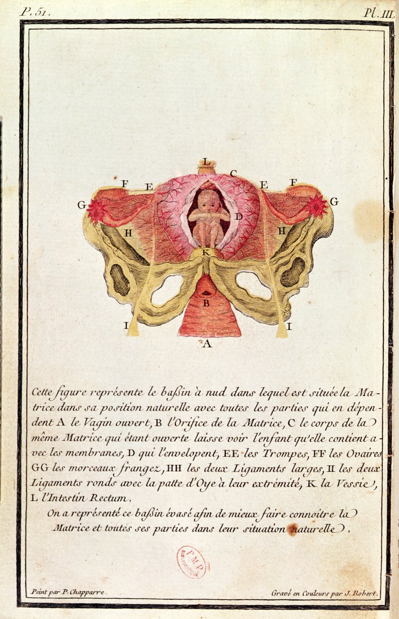 Diagramma sezionale dell