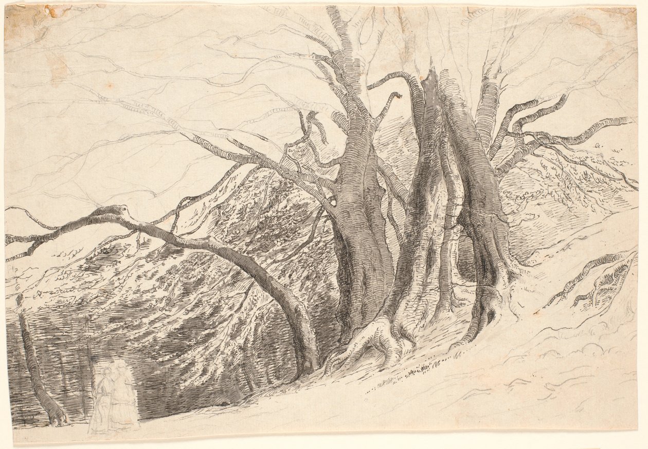 Una scarpata con grandi alberi in un bosco, con due donne che camminano da P.C. Skovgaard