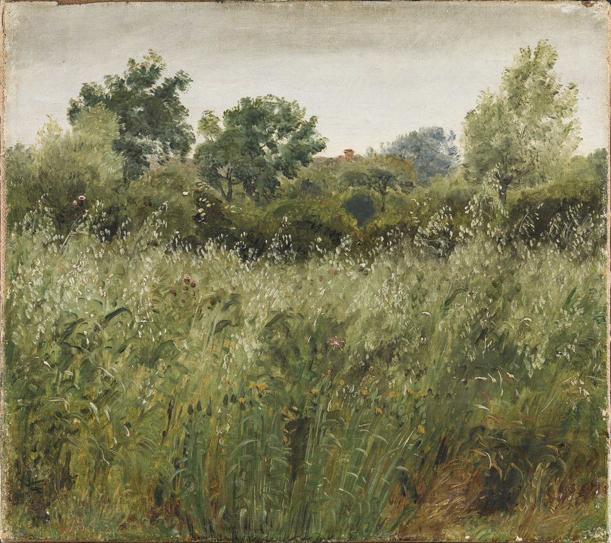 Campo di avena vicino a Vejby da P.C. Skovgaard