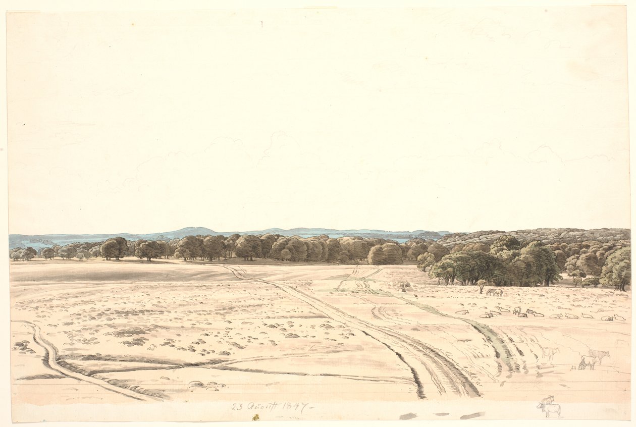 Dalla pianura dell