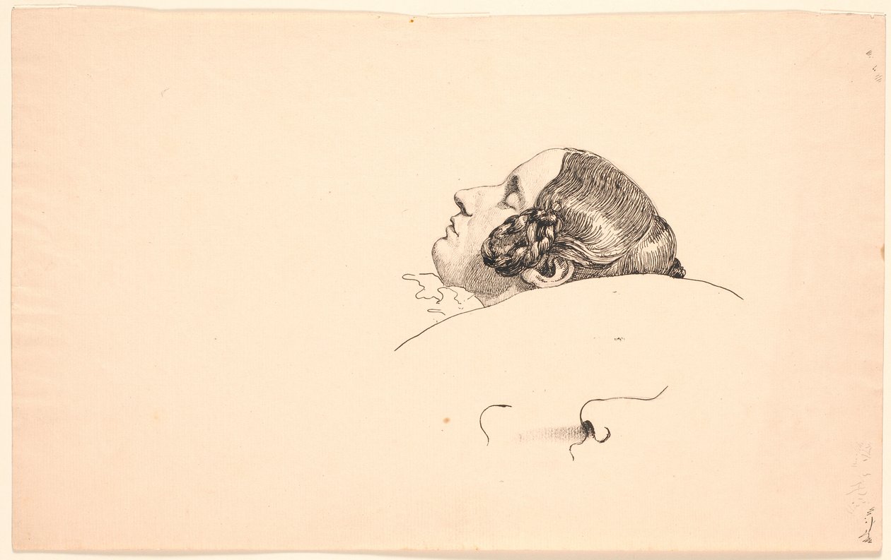 Ritratto di profilo della moglie dell