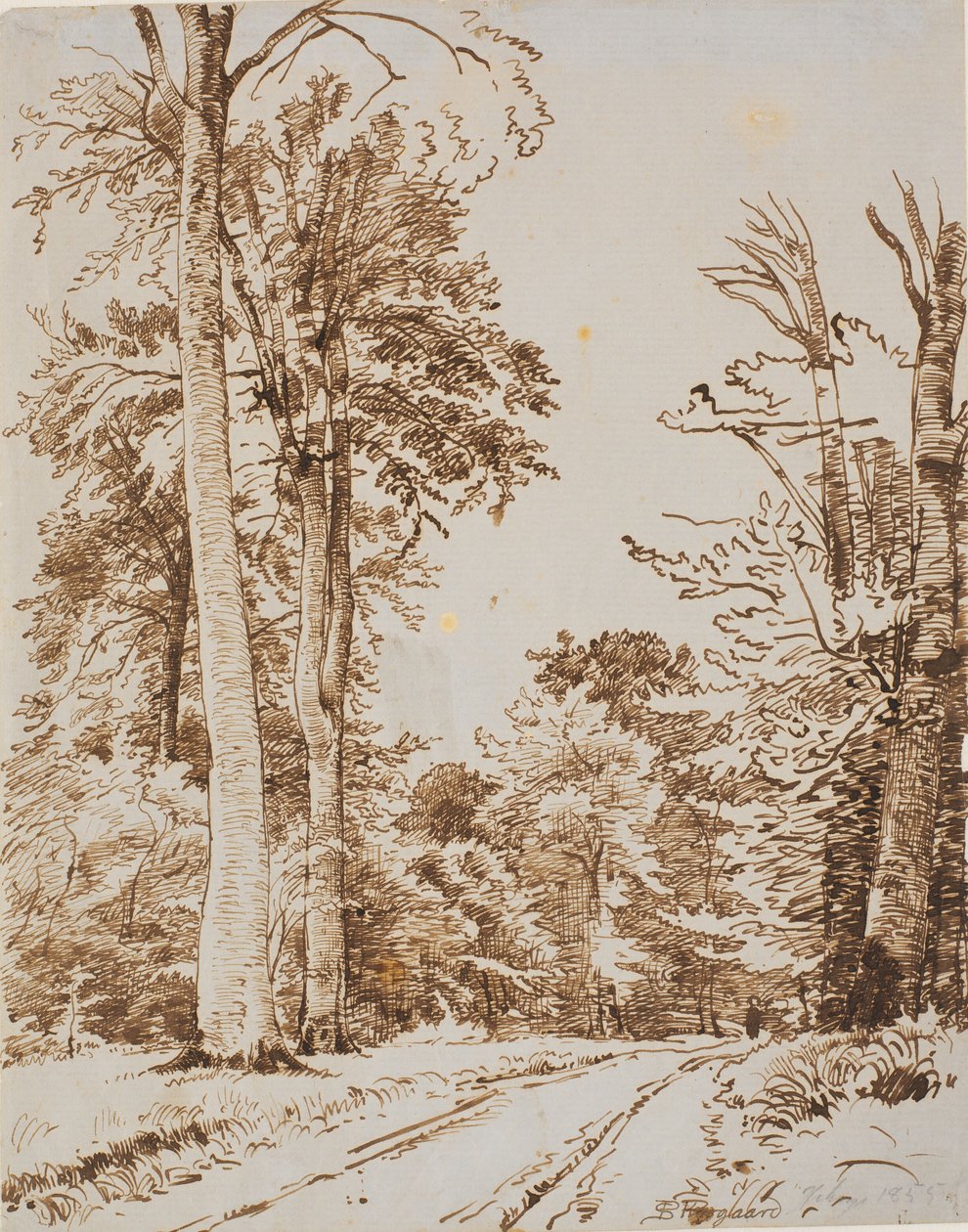 Strada forestale. Iselinge da P.C. Skovgaard