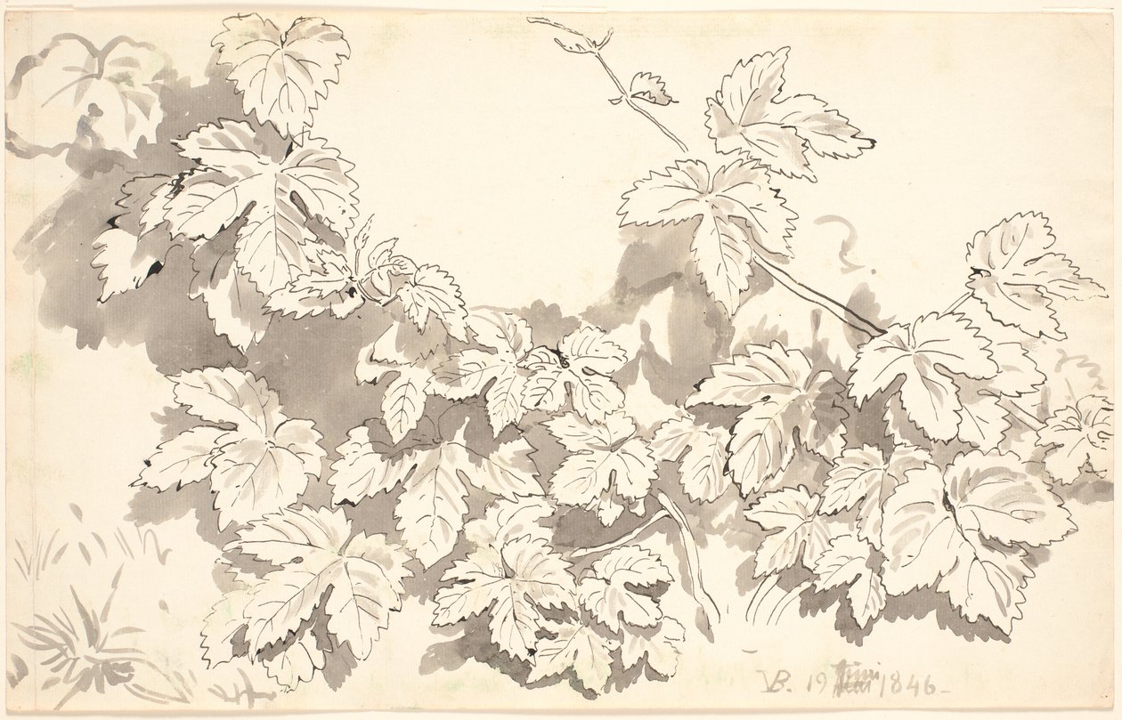 Foglie di quercia da P.C. Skovgaard