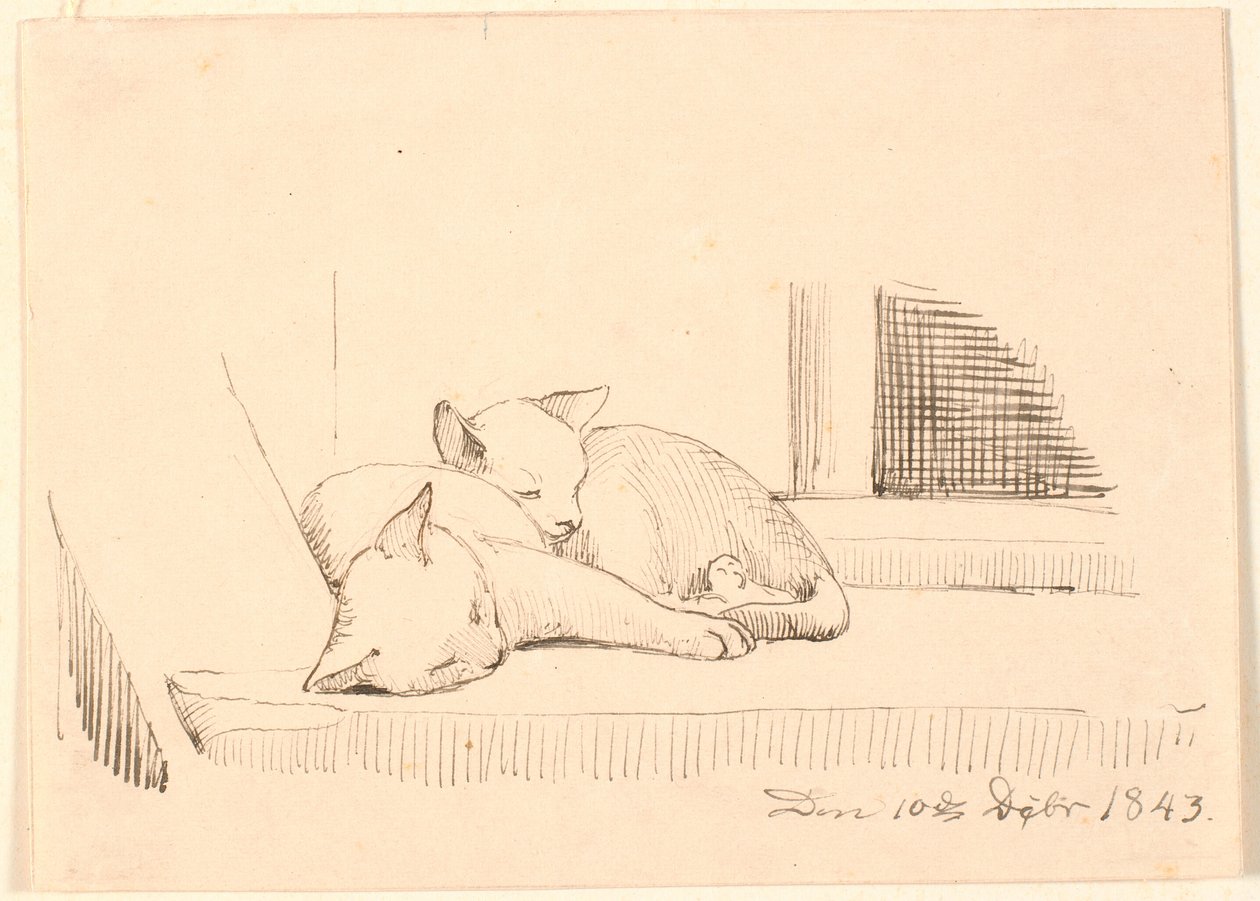 Due gatti dormienti da P.C. Skovgaard