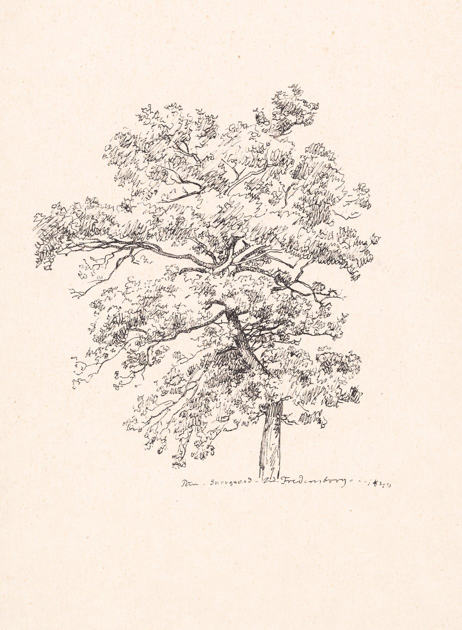 Albero a Fredensborg da P.C. Skovgaard