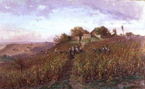 Vendemmia sui pendii dell