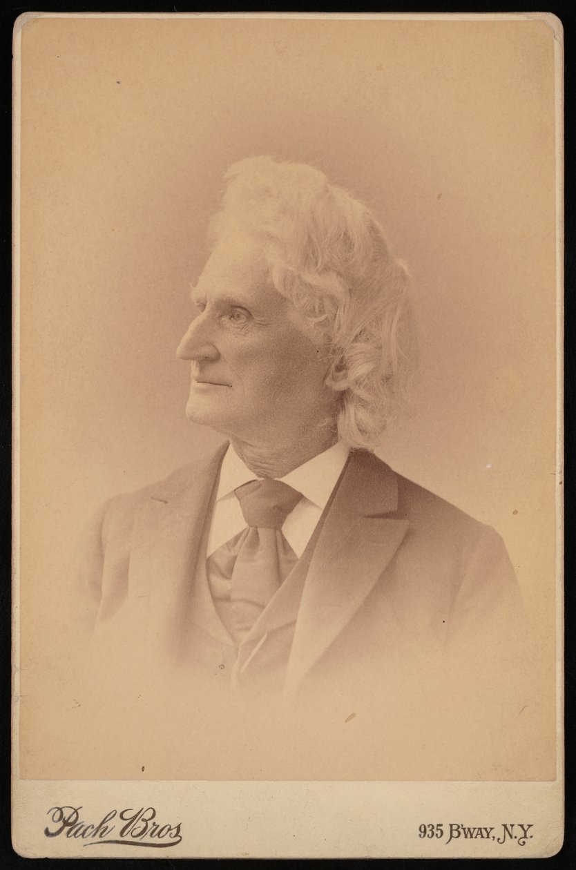 Ritratto di James Dwight Dana 1813-1895, febbraio 1895 da Pach Bros