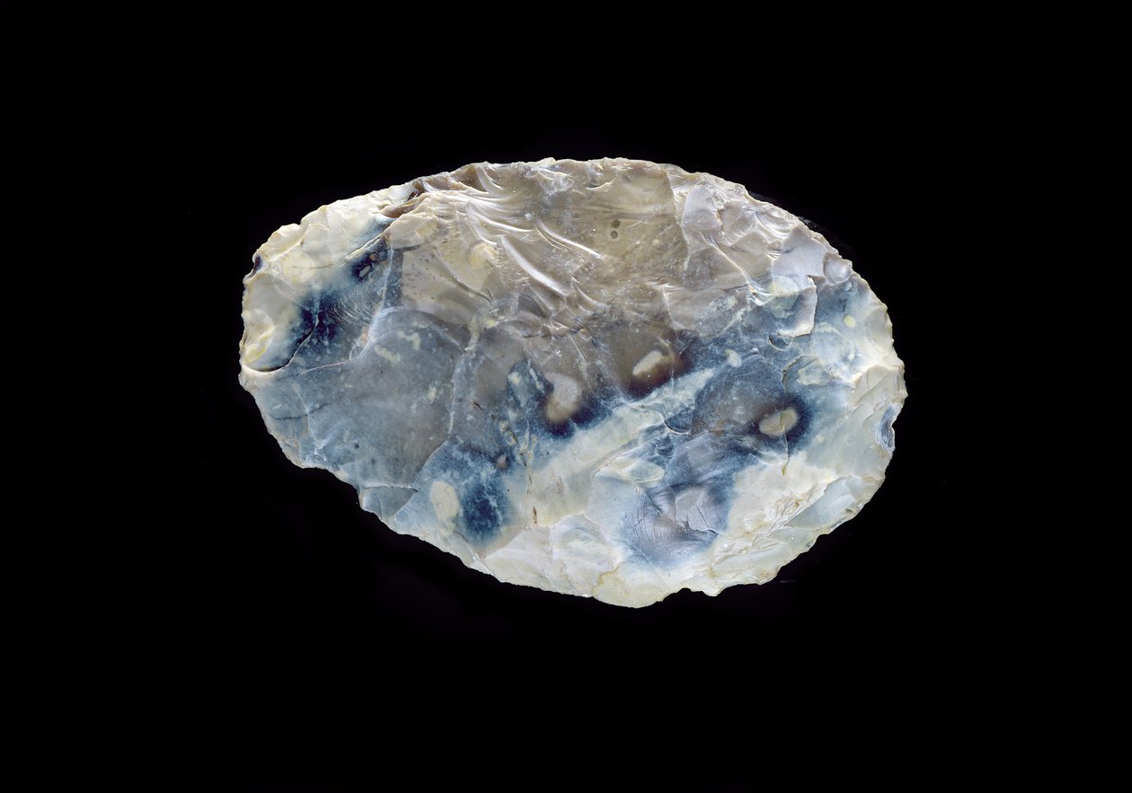 Lama, da Saint-Aucheul, Periodo Acheuleano Inferiore, 400.000-350.000 a.C. da Paleolithic