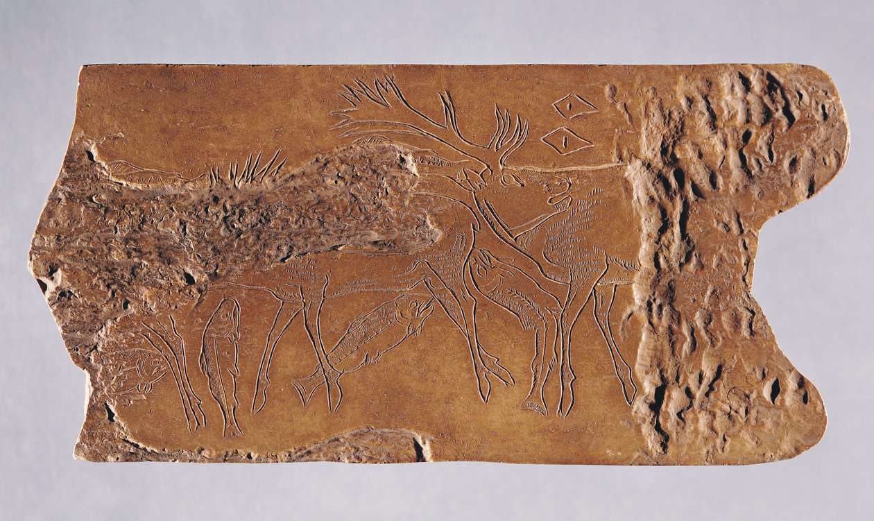 Corno di renna scolpito con cervi e salmoni che saltano, dalla Grotta di Lortet, Magdaleniano, 15000-18000 a.C. da Paleolithic