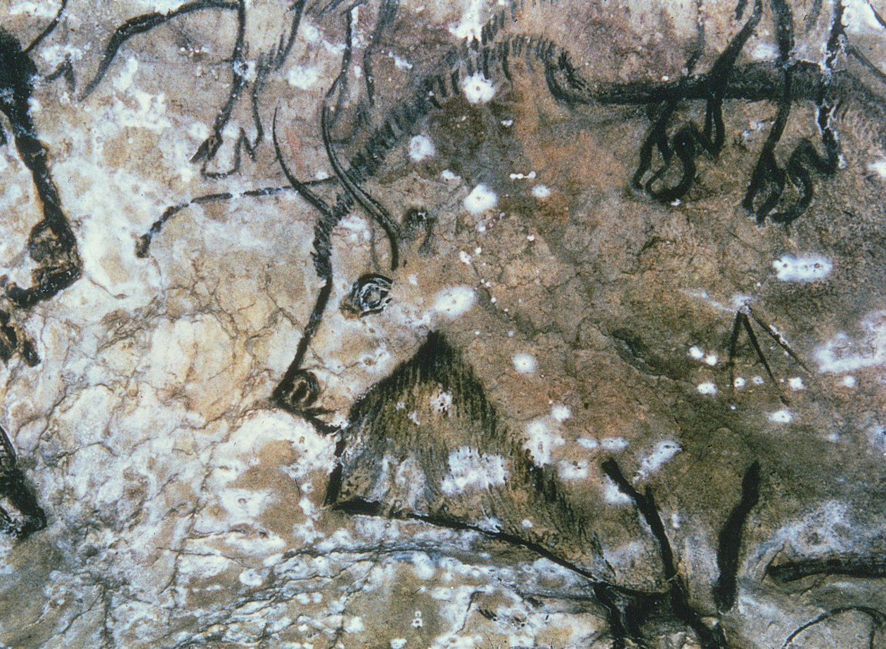 Toro ferito, pittura rupestre, Magdaleniano da Paleolithic Paleolithic