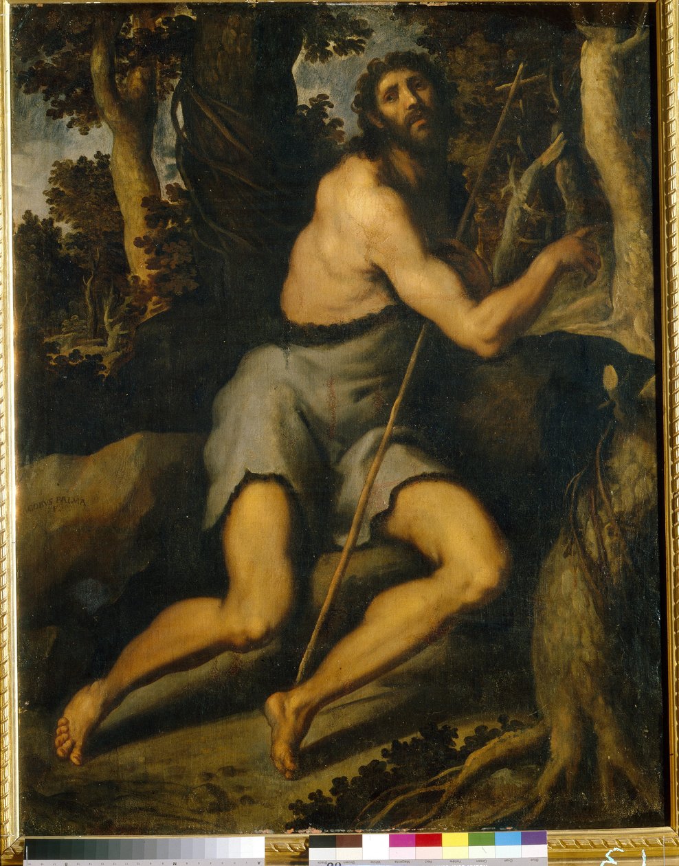 San Giovanni Battista nel deserto da Palma Il  Giovane