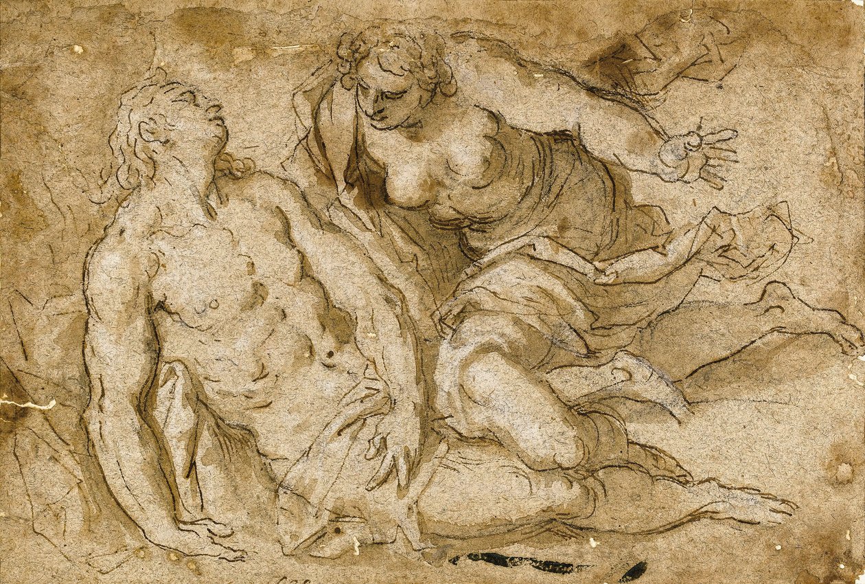 Venere scopre Adone morto da Palma Il Giovane