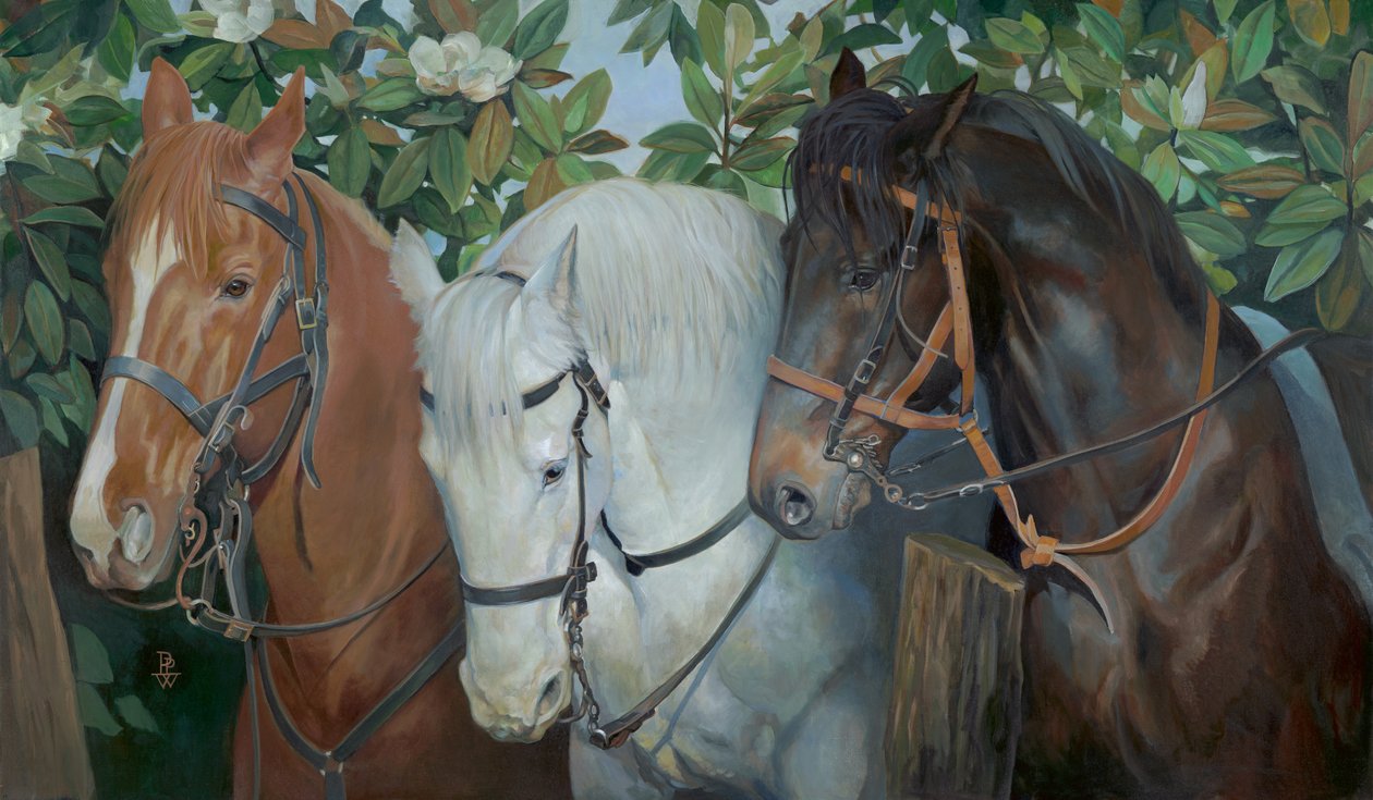 Rescued, 2014 (olio su tela) da Pamela Patrick White