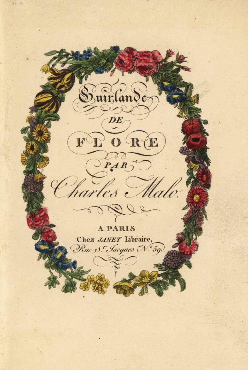 Pagina del titolo calligrafica all