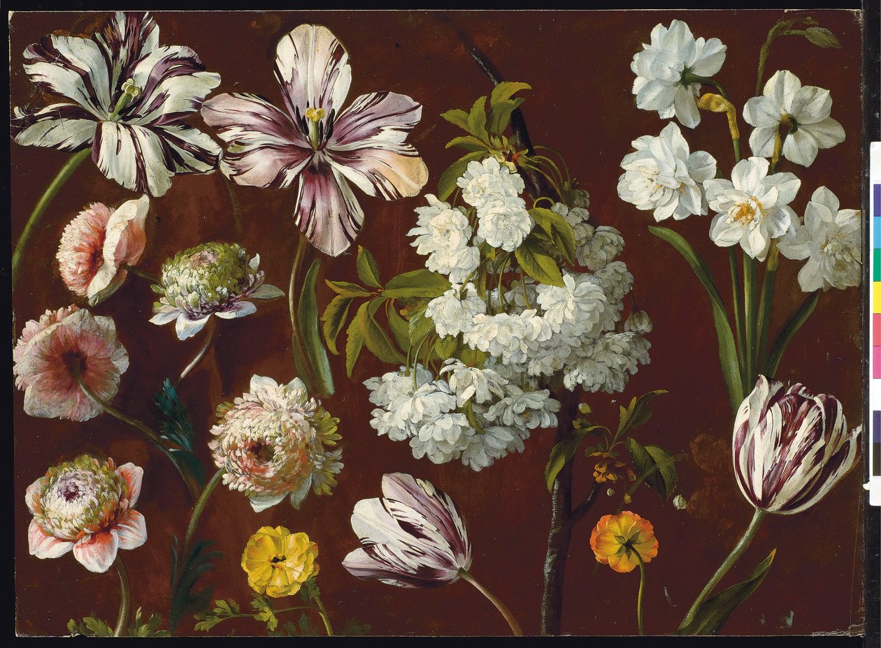 Tulipani viola, prunus bianco in fiore, narcisi e crisantemi rosa da Pancrace Bessa