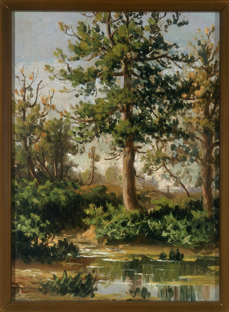 Un ruscello tra il verde da Paolo Ferretti