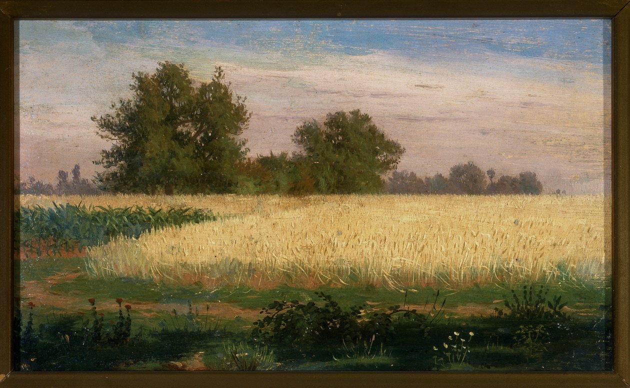 Paesaggio con campo di grano da Paolo Ferretti