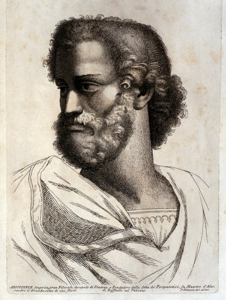ARISTOTOLO da Paolo Fidanza