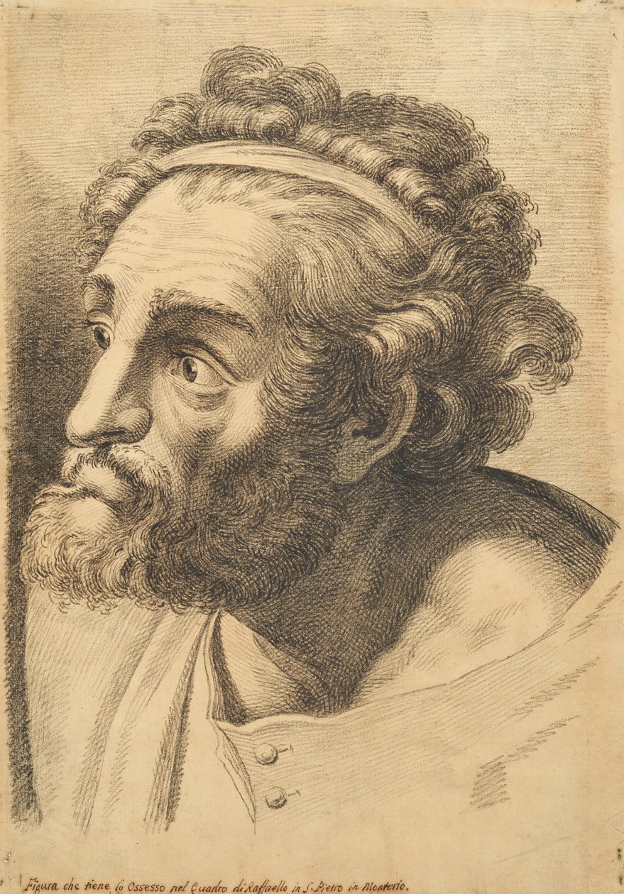 Testa di un uomo barbuto, da 42 studi di teste dopo Raffaello da Paolo Fidanza