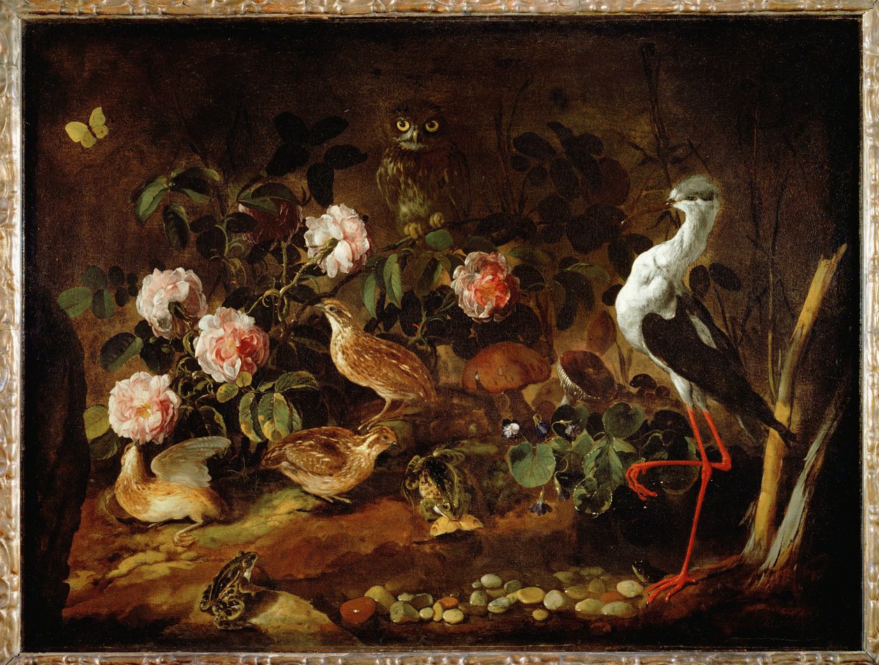 Natura morta con gufo e ibis - Nature morte avec une chouette et un ibis ... da Paolo Porpora